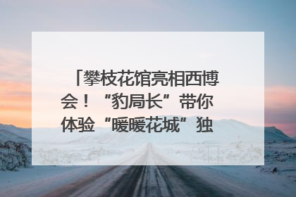 攀枝花馆亮相西博会！“豹局长”带你体验“暖暖花城”独特魅力｜西博视界