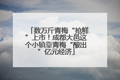 数万斤青梅“抢鲜”上市！成都大邑这个小镇靠青梅“酿出”亿元经济