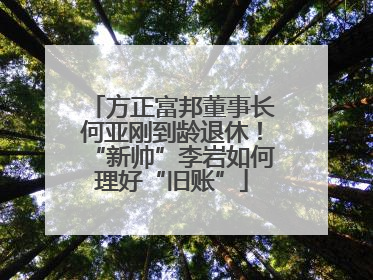 方正富邦董事长何亚刚到龄退休！“新帅”李岩如何理好“旧账”