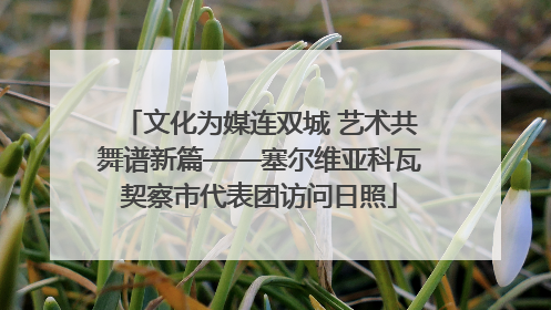 文化为媒连双城 艺术共舞谱新篇——塞尔维亚科瓦契察市代表团访问日照