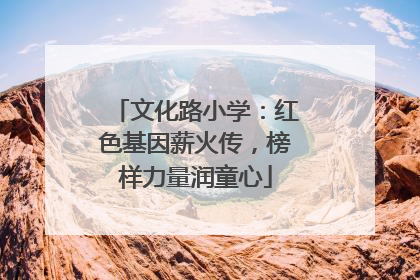文化路小学：红色基因薪火传，榜样力量润童心