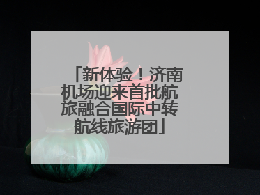 新体验！济南机场迎来首批航旅融合国际中转航线旅游团