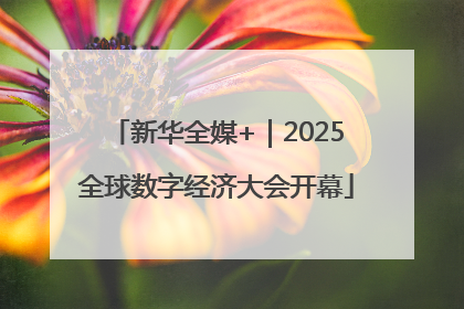 新华全媒+｜2025全球数字经济大会开幕