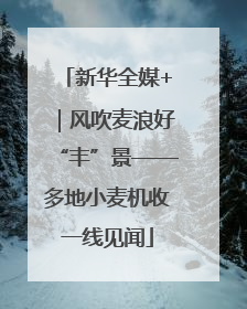 新华全媒+｜风吹麦浪好“丰”景——多地小麦机收一线见闻