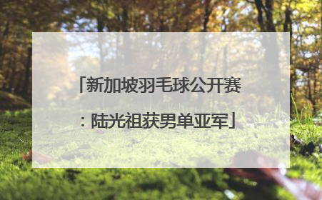 新加坡羽毛球公开赛：陆光祖获男单亚军