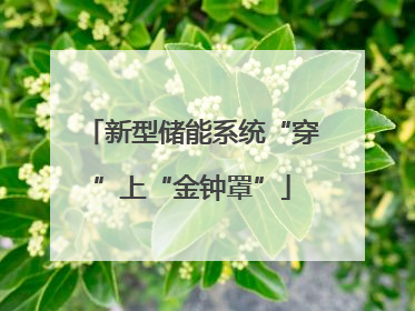 新型储能系统“穿”上“金钟罩”