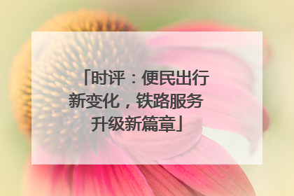 时评：便民出行新变化，铁路服务升级新篇章