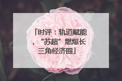 时评：轨道赋能，“苏超”燃爆长三角经济圈
