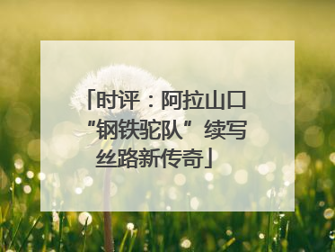 时评：阿拉山口“钢铁驼队”续写丝路新传奇