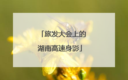 旅发大会上的湖南高速身影