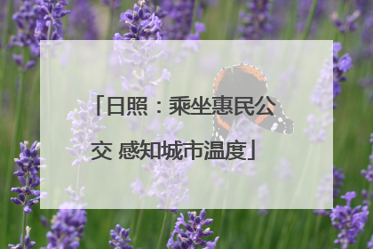日照：乘坐惠民公交 感知城市温度