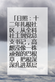 日照：十二年扎根社区，从全科社工到党总支书记，高麒滢像一株顽强的巴根草，把根深深扎进基层的土壤——“巴根草书记”的夏日叙事