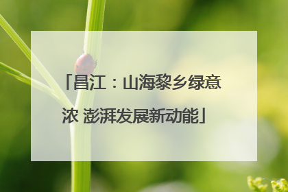 昌江：山海黎乡绿意浓 澎湃发展新动能