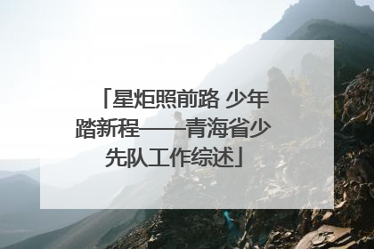 星炬照前路 少年踏新程——青海省少先队工作综述