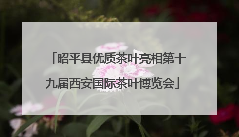 昭平县优质茶叶亮相第十九届西安国际茶叶博览会