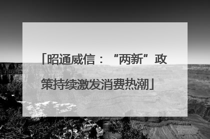 昭通威信：“两新”政策持续激发消费热潮