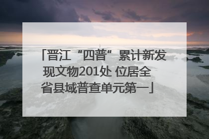 晋江“四普”累计新发现文物201处 位居全省县域普查单元第一