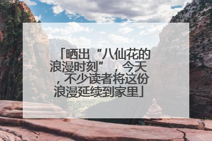 晒出“八仙花的浪漫时刻”，今天，不少读者将这份浪漫延续到家里