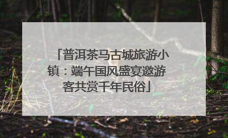 普洱茶马古城旅游小镇：端午国风盛宴邀游客共赏千年民俗
