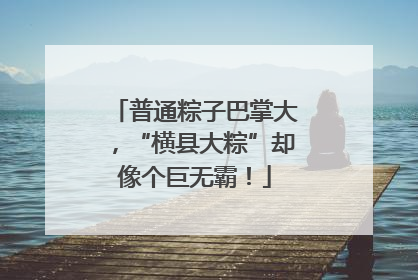 普通粽子巴掌大，“横县大粽”却像个巨无霸！