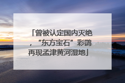 曾被认定国内灭绝，“东方宝石”彩鹮再现孟津黄河湿地