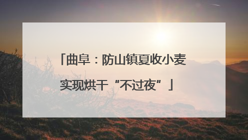 曲阜：防山镇夏收小麦实现烘干“不过夜”