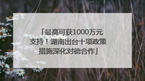 最高可获1000万元支持！湖南出台十项政策措施深化对德合作