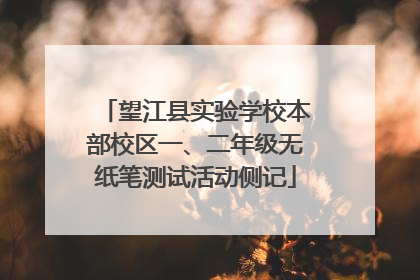 望江县实验学校本部校区一、二年级无纸笔测试活动侧记