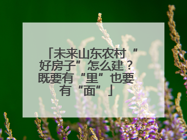 未来山东农村“好房子”怎么建？既要有“里”也要有“面”