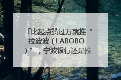 比起点赞过万就推“拉波波（LABOBO）”，宁波银行还是拉业绩吧｜财经辣评