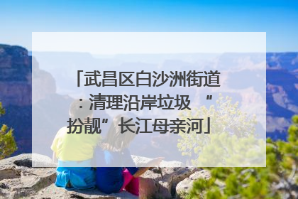 武昌区白沙洲街道：清理沿岸垃圾 “扮靓”长江母亲河