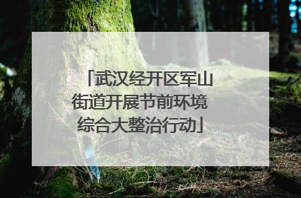 武汉经开区军山街道开展节前环境综合大整治行动