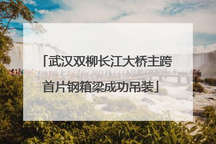 武汉双柳长江大桥主跨首片钢箱梁成功吊装