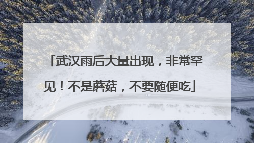 武汉雨后大量出现，非常罕见！不是蘑菇，不要随便吃