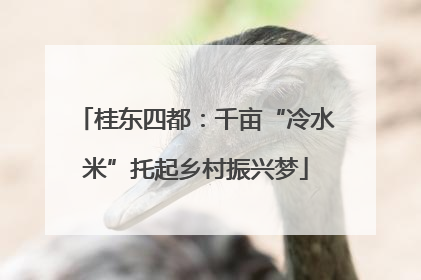 桂东四都：千亩“冷水米”托起乡村振兴梦