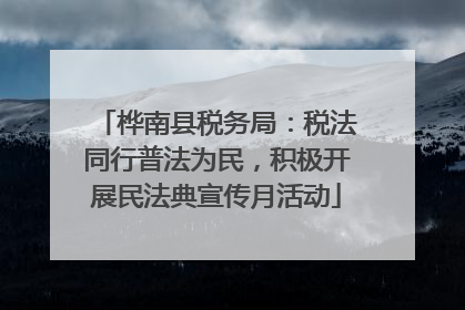 桦南县税务局：税法同行普法为民，积极开展民法典宣传月活动