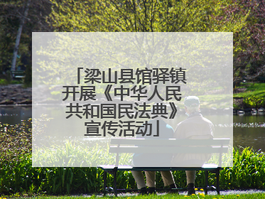 梁山县馆驿镇开展《中华人民共和国民法典》宣传活动