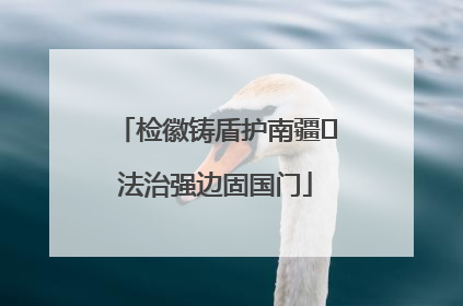 检徽铸盾护南疆 法治强边固国门