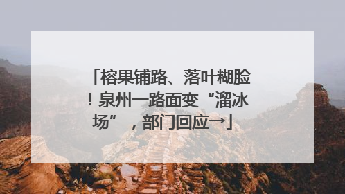 榕果铺路、落叶糊脸！泉州一路面变“溜冰场”，部门回应→
