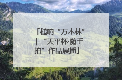 槌响“万木林”｜“天平杯·随手拍”作品展播