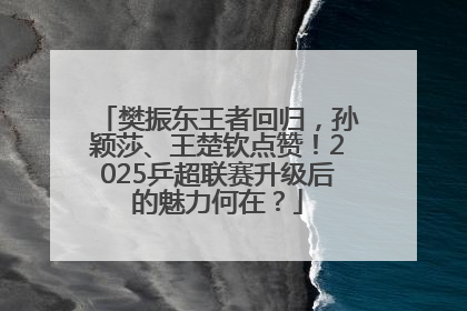 樊振东王者回归，孙颖莎、王楚钦点赞！2025乒超联赛升级后的魅力何在？
