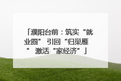 濮阳台前：筑实“就业圈” 引回“归巢雁” 激活“家经济”