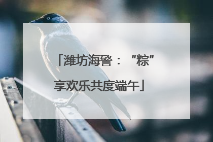 潍坊海警：“粽”享欢乐共度端午