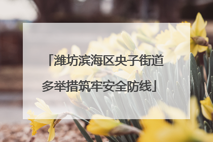潍坊滨海区央子街道多举措筑牢安全防线