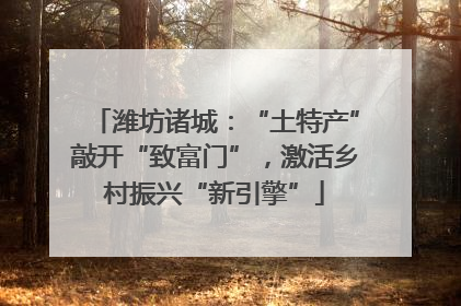 潍坊诸城：“土特产”敲开“致富门”，激活乡村振兴“新引擎”