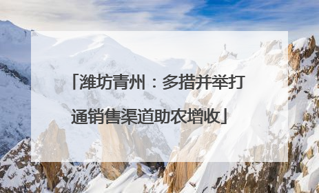 潍坊青州：多措并举打通销售渠道助农增收