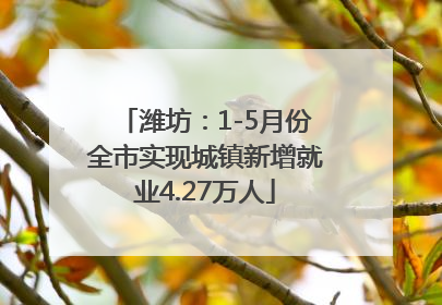 潍坊：1-5月份全市实现城镇新增就业4.27万人