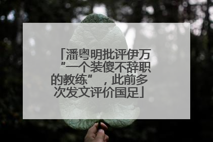 潘粤明批评伊万“一个装傻不辞职的教练”，此前多次发文评价国足
