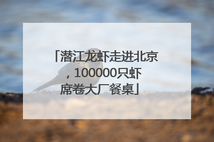 潜江龙虾走进北京，100000只虾席卷大厂餐桌