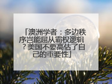 澳洲学者：多边秩序岂能屈从霸权逻辑？美国不要高估了自己的重要性